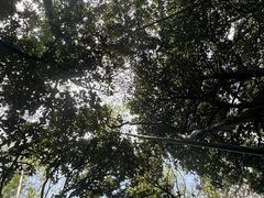 -池州市平天湖风景区