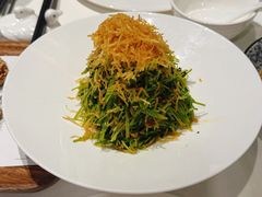 巧拌豆苗-四季民福烤鸭店(望京旺角店)