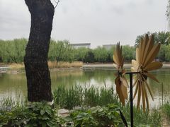 -三忘湖 SWANSEEN(柳荫公园店)