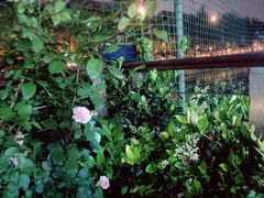 -BABANA烧烤·龙虾·海鲜