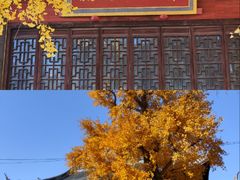 -上海青龙寺