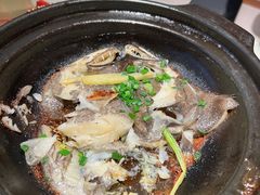 -恭喜上堓砂锅焗·海鲜大排档(闵行龙湖店)