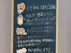 -毛绒耶耶撸宠馆·猫咖·狗咖·荷兰猪咖