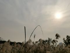 -COSTA COFFEE(武汉天地店)