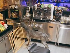 -Moss7Club 剧本杀桌游(inspark店)