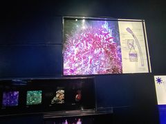 -同济大学四平路校区深海探索馆