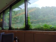 -潮府馆·非遗潮州菜·港式点心(世纪公园店)