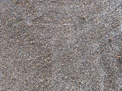 -胖大嫂渔家排档·全海景餐厅(渔村店)