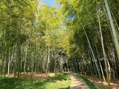 -兰亭风景区