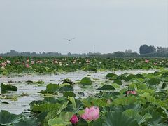 -铁锅炖灶台鱼老三炖鱼馆