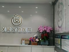 -关爱宠物医院·猫科中心·消化科(滨湖万达分院)