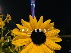 -二沙岛艺术公园