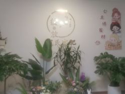 -寇氏减肥