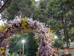 -二荆条·蜀鲜汇城市森林火锅