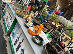 -哈尔滨道外花鸟鱼市场