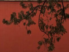 -北京市劳动人民文化宫(太庙)