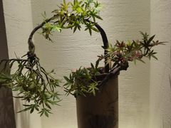 -新渝城·川菜·火锅(区庄店)