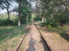 -永定河休闲森林公园