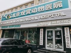 -北京观赏动物医院·24小时大型综合·猫专科·异宠专科