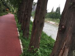 -蜀绣公园