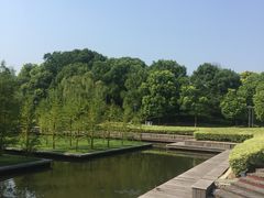 -泰州凤城河风景区-泰山公园