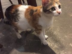 -看书吧(体育东横路店)