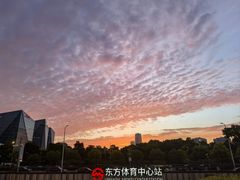 -东方体育中心(地铁站)