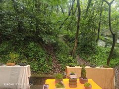 -上海佘山国家森林公园天马山园