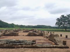 -盘龙城国家考古遗址公园