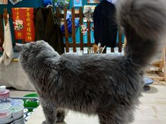 -布歌东京(德基BHG店)