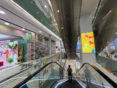 -凯德MALL(望京店)