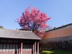 -天龙八部武侠城