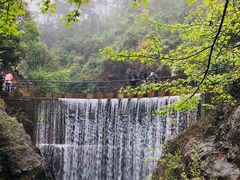 -大奇山国家森林公园