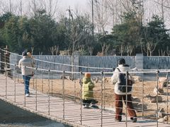 -日照海滨国家森林公园