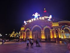 -俄罗斯国家大马戏团