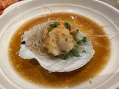 扇贝-华盛丰温州大排档(东三环南路店)