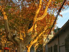 -常熟路(地铁站)