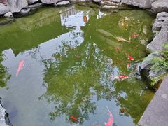 -驿舍·民國老营房院子私房菜(科学会堂店)