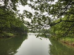 -象山森林公园