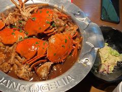 -胖哥俩肉蟹煲(时代广场店)
