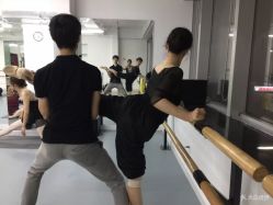 -德加芭蕾·舞蹈培训
