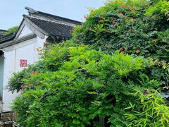 -山塘街