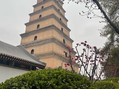 -大慈恩寺(大雁塔)