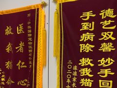 -中农国际动物医院24小时·猫科·骨科·急重症中心