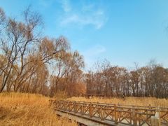 -野鸭湖国家湿地公园