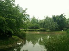 -白鹭湾湿地公园