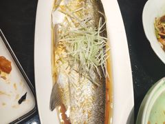 清蒸太湖野生大白鱼-梅飞酒家(名辉豪庭店)