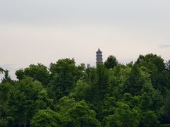 -北坞公园