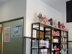 -伟伟宠物医院·瑞派猫友好医院·猫科(光谷店)