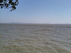 -贡湖湾湿地公园